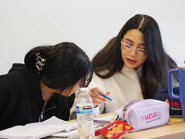Two students with a MESA program pencil pouch in front of them work on an assignment together.